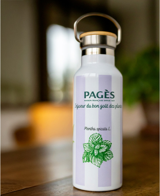 Gourde isotherme / coloris violet