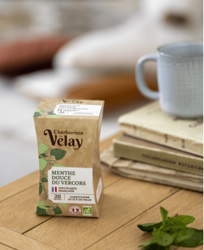 Infusion Menthe douce du piémont du Vercors