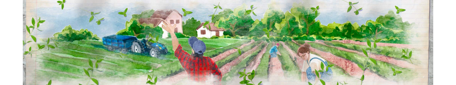 L'Herboriste du Velay: discover all our offers | Pagès